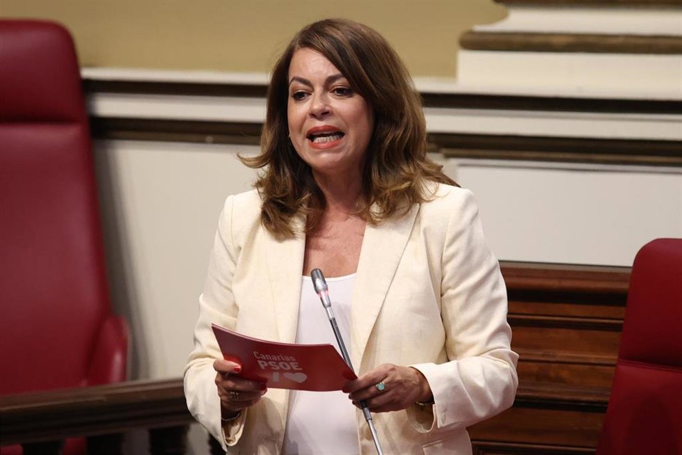 Archivo - La secretaria general del PSOE en Tenerife, Tamara Raya