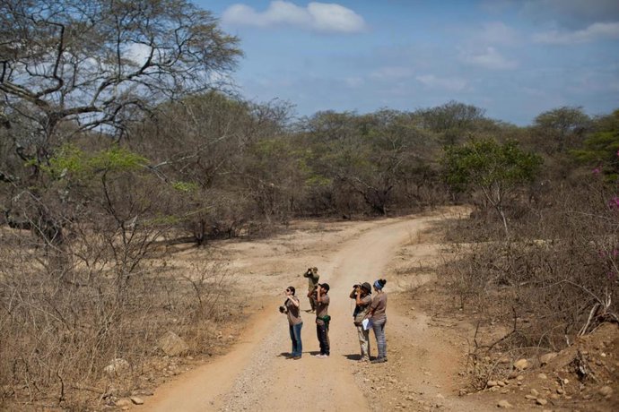 Observadores de aves en el Parque Nacional Cerros de Amotape Piura