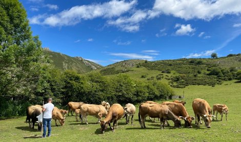 Asturias Rural