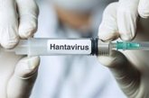 Foto: Los estudios activos de vacunas para el virus Andes (hantavirus) no están "en fase avanzada", según la SEI
