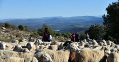 Extremadura