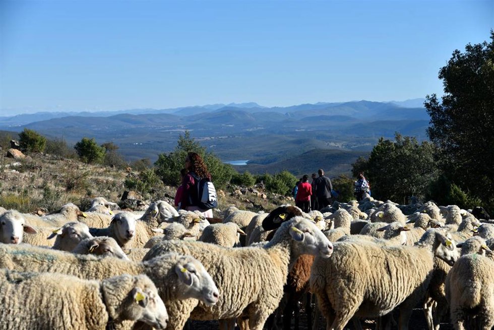 IV Ruta de la Transhumancia