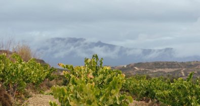 La Rioja