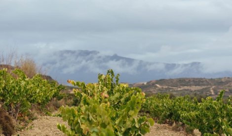 La Rioja
