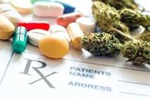 Foto: Expertos en salud mental piden "romper el mito" del cannabis como sustancia terapéutica y de informar a la población