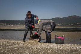 Foto: Elena Fernández - Europa Press - Archivo