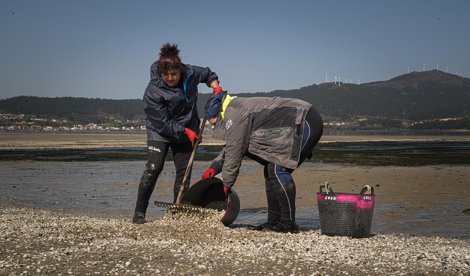 Pesca Galicia