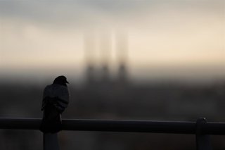 Archivo - Las torres de las Tres Chimeneas de Sant Adrià del Besós en una imagen de archivo