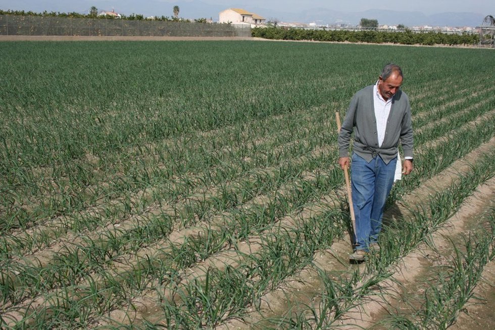 Archivo - Imagen de recurso de un agricultor.