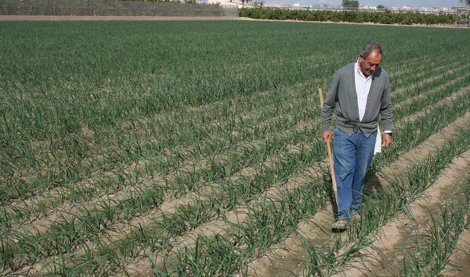 EpAgro - Agricultura