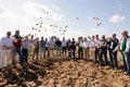 Diputación de Sevilla pide a agricultores hacer más atractivo el sector en la campaña de la patata nueva en La Rinconada