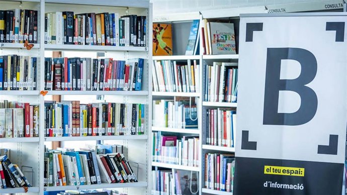 Plan director de Bibliotecas Municipales