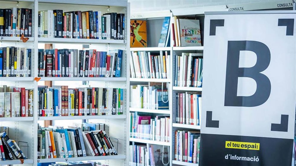 Plan director de Bibliotecas Municipales