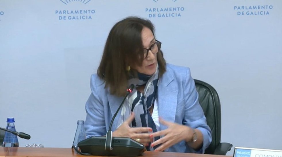 La directora xeral de Calidade Ambiental e Sostibilidade, María José Echevarría, en comisión