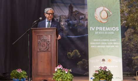 Córdoba única