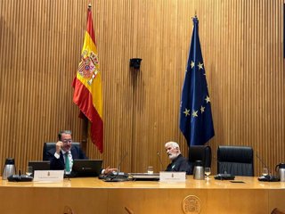 El Director General De Ordenación Del Territorio Y Arquitectura, Javier Rollán, Durante Su Ponencia Sobre Inundaciones En El Congreso De Los Diputados.