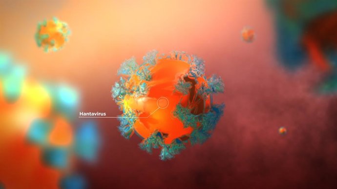 Archivo - Imagen de recurso de hantavirus.