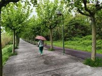 El tiempo en Extremadura para hoy sábado, 9 de mayo de 2026