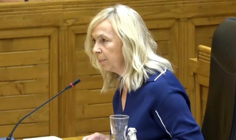 Archivo - Intervención de Sara Álvarez Rouco, portavoz de Vox en el Ayuntamiento de Gijón y concejala de Festejos, en el Pleno Municipal