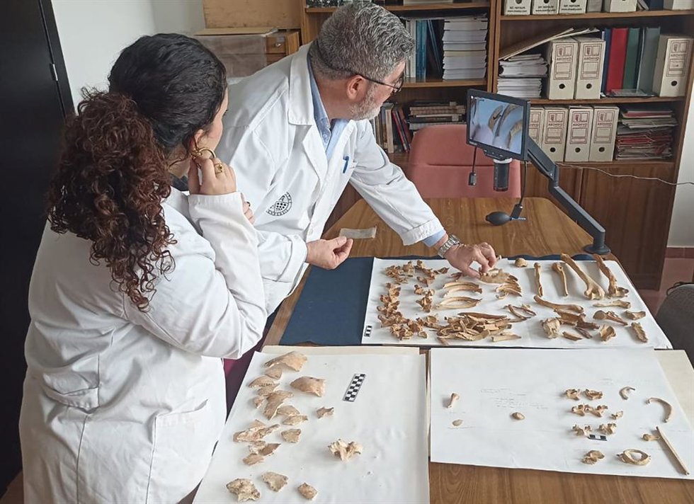 Los investigadores Castillo Armenteros y Mora Barrionuevo realizando el proyecto de investigación antropológica centrado en las necrópolis de época islámica halladas en la Zona Arqueológica de Marroquíes Bajos (ZAMB).