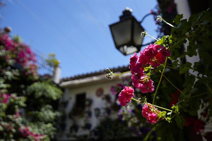 Archivo - Imagen de uno de los espacios que concursa en la Fiesta de los Patios de Córdoba.