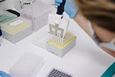 Foto: La OMS eleva a seis los casos confirmados de hantavirus el positivo de un contagio sospechoso