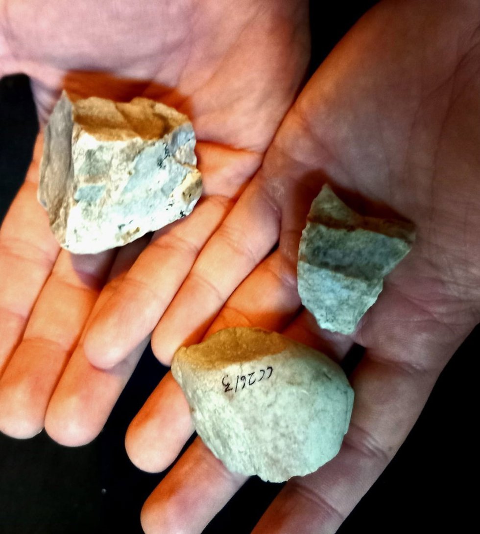 Arranca una nueva campaña de excavación y puesta en valor de las Cuevas Sepulcrales de Carcelén (Albacete)