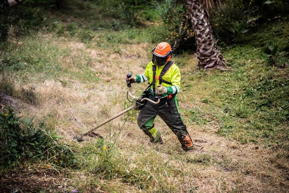 El Ayuntamiento de Málaga acomete trabajos de prevención de incendios en parques forestales y periurbanos.