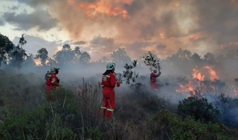 peru