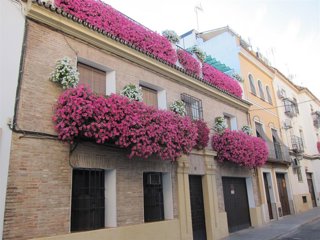 Archivo - Balcones floridos durante el mayo cordobés.