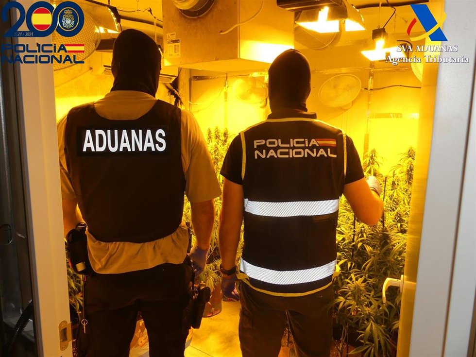 Los agentes desmantelan un cultivo 'indoor' de marihuana en Dos Hermanas.
