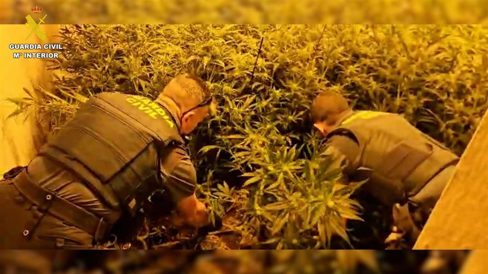 Dos agentes de la Guardia Civil en la plantación de marihuana intervenida en una vivienda en Espera.