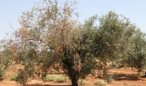 EpAgro - Agricultura