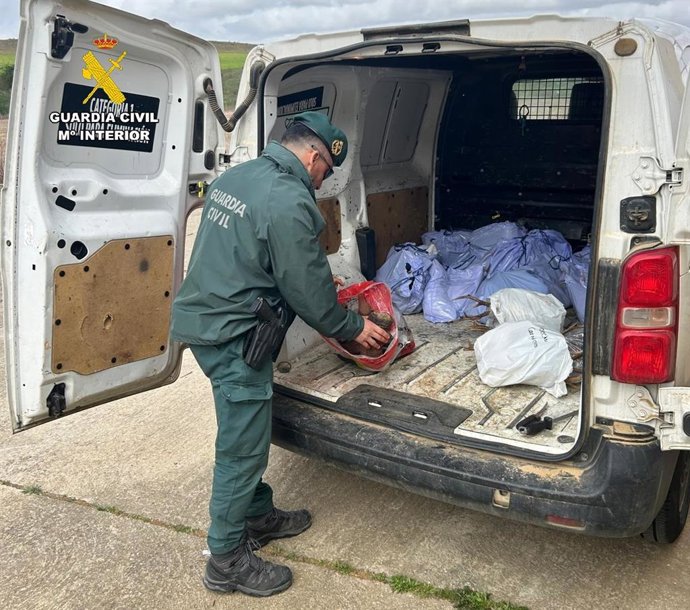 Un agente de la Guardia Civil  deposita en una furgoneta los trofeos de caza.