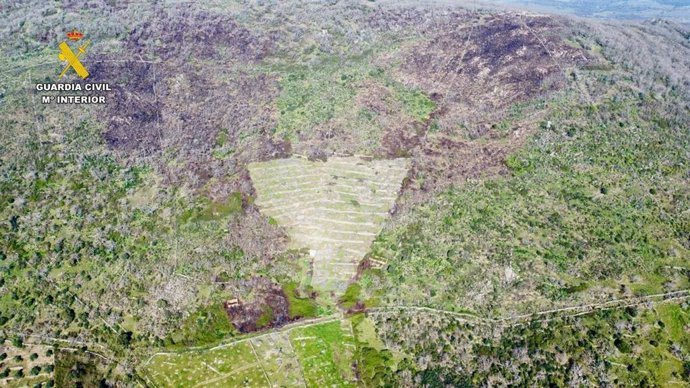 Superificie quemada por incendio forestal en la provincia de Cáceres