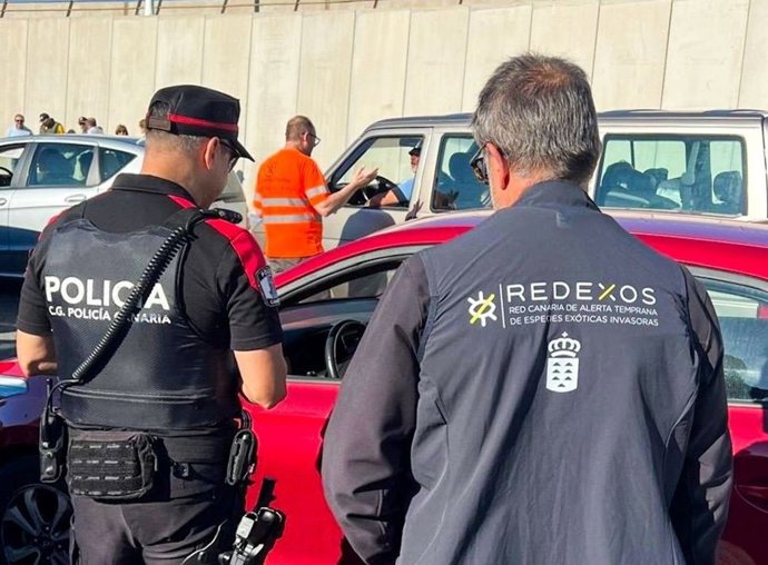 Agentes de la Policía Canaria