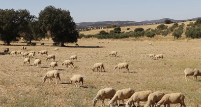 Extremadura