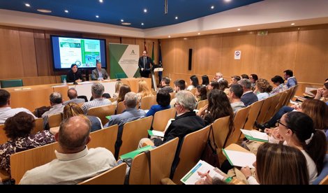 Es Andalucía - Córdoba