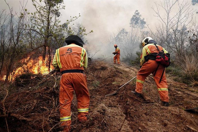 Archivo - Bomberos de Asturias treabajan en el incendio de los concejos de Valdes y Tineo, a 30 de marzo de 2023, en Asturias (España). La consejera de Presidencia del Gobierno asturiano, Rita Camblor, se ha referido este jueves a los numerosos incendios 