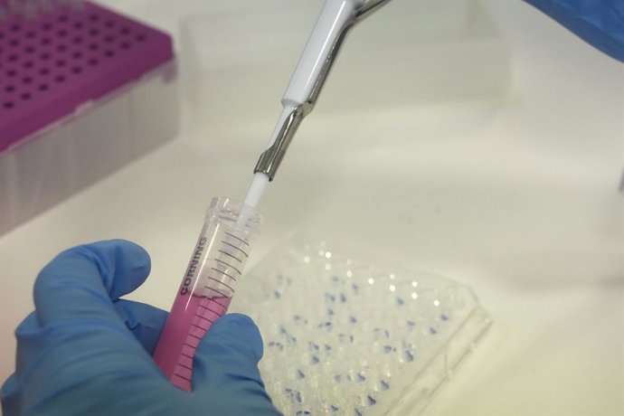 Archivo - Arquivo - Uma cientista coloca um líquido em um tubo de ensaio, no laboratório do Parque Tecnológico de Zamudio, em Bilbau, em 23 de maio de 2022, em Zamudio, Vizcaya, País Basco (Espanha). A empresa biofarmacêutica basca Oncomatryx obteve a aut