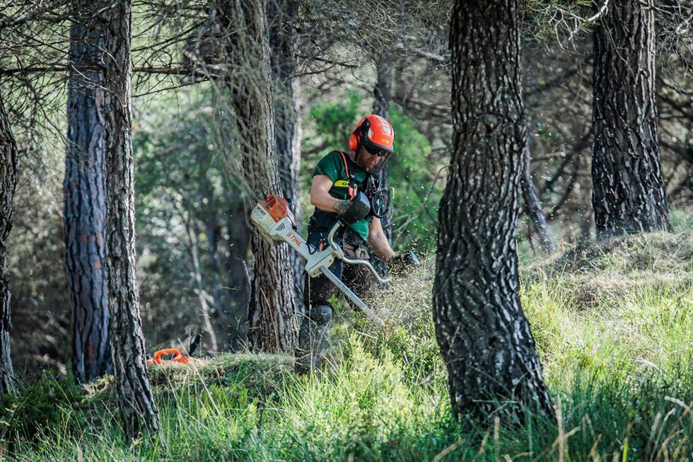 Imagen de un trabajador forestal