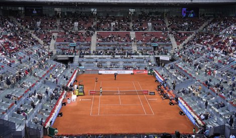 Tenis