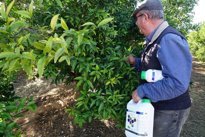 AEVAE gestionó 890 toneladas de envases agrarios en 2025, un 100% más que en 2024, y alcanzó 1.500 puntos de recogida.
