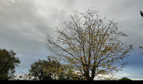 Extremadura