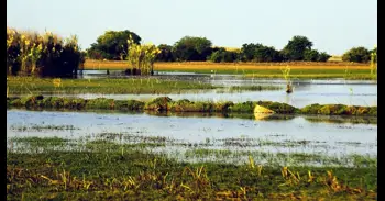 Científicos creen que podría estar formándose un nuevo límite de placas tectónicas en Zambia