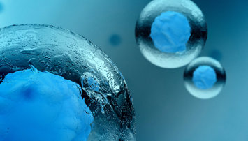 Investigación