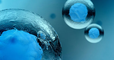 Investigación