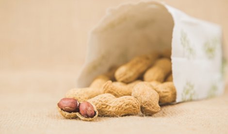 Nutrición