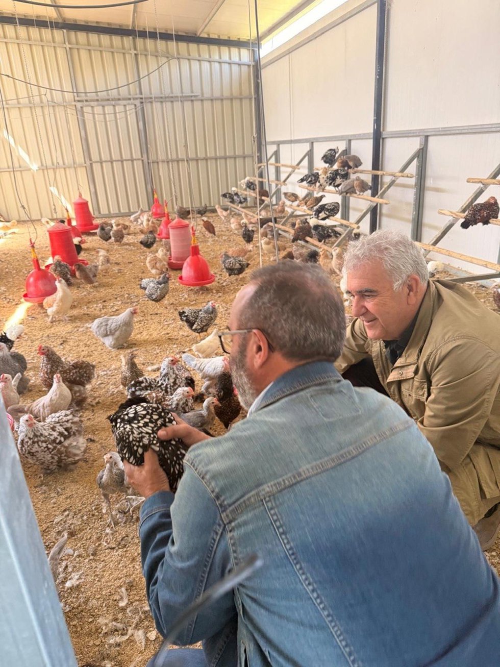 El presidente de la Diputación de Cáceres, Miguel Ángel Morales, ha visitado la Finca Casarejo, ubicada en Navalmoral de la Mata, para conocer este negocio de emprendimiento rural