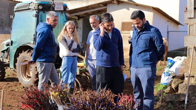 El consejero de Agricultura, Narvay Quintero, visita una de las fincas voluntarias en Tenerife  para el ensayo con patrones de vid resistentes a la filoxera